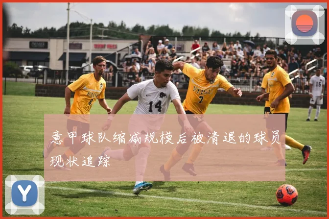 意甲球队缩减规模后被清退的球员现状追踪