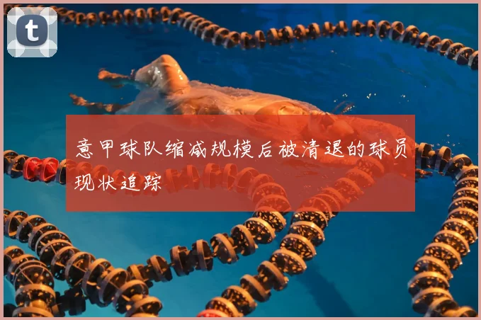 意甲球队缩减规模后被清退的球员现状追踪